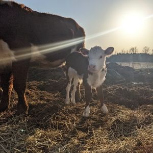 Meet your Posher, Erika